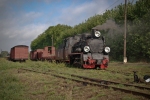 Parowóz Px48 - 1920 ze składem towarowym  - fot.Krzysztof Ratajski