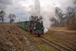 Pociąg gotowy do odjazdu z przystanku Śnieciska - fot. Krzysztof Ratajski