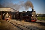 Lokomotywy Px48-1920 oraz Px48-1756 w parowozowni na stacji Środa Miasto - fot. Krzysztof Ratajski